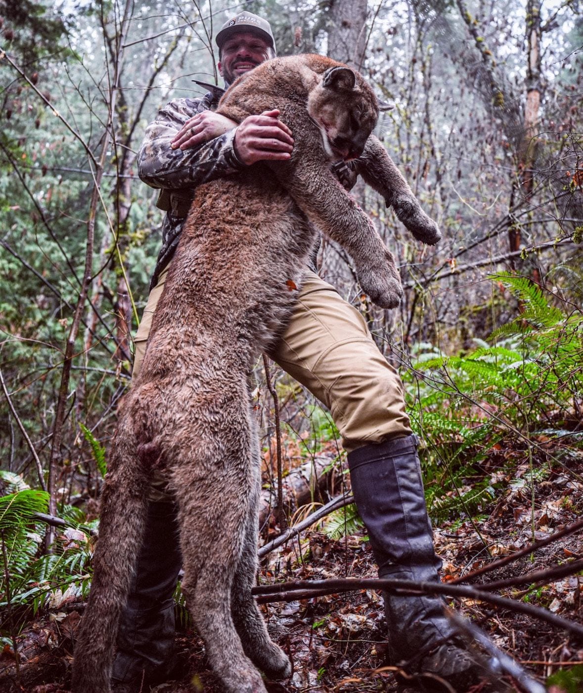 A hunter holds a harvested mountain lion in a forest.