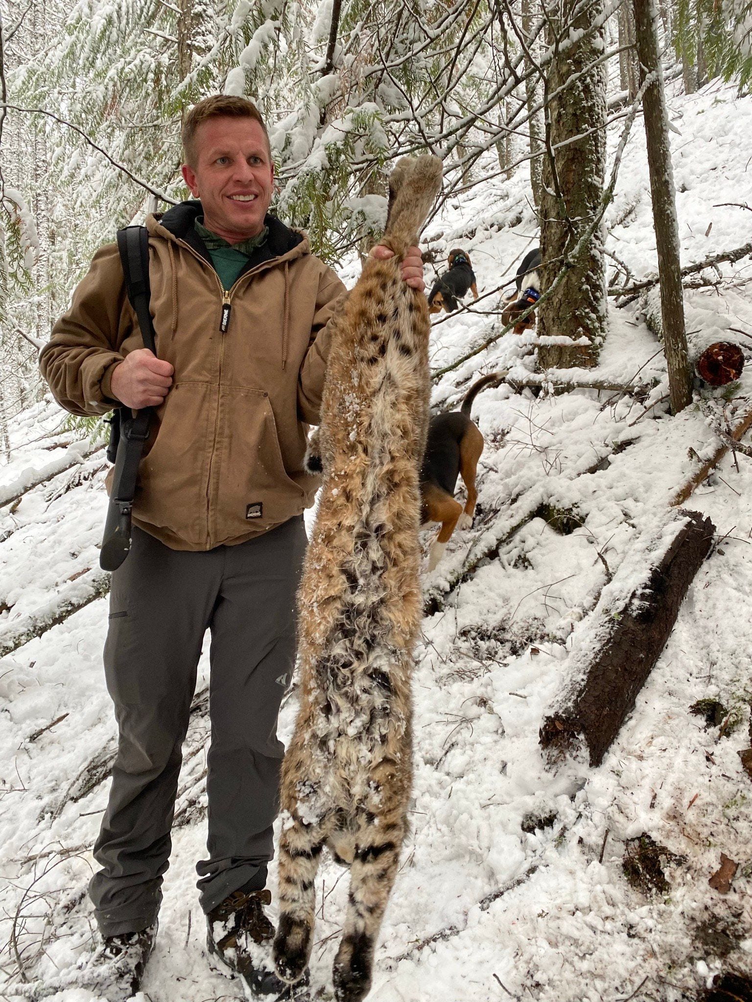 A hunter holds a harvested bobcat in a snowy forest with hunting dogs in the background.