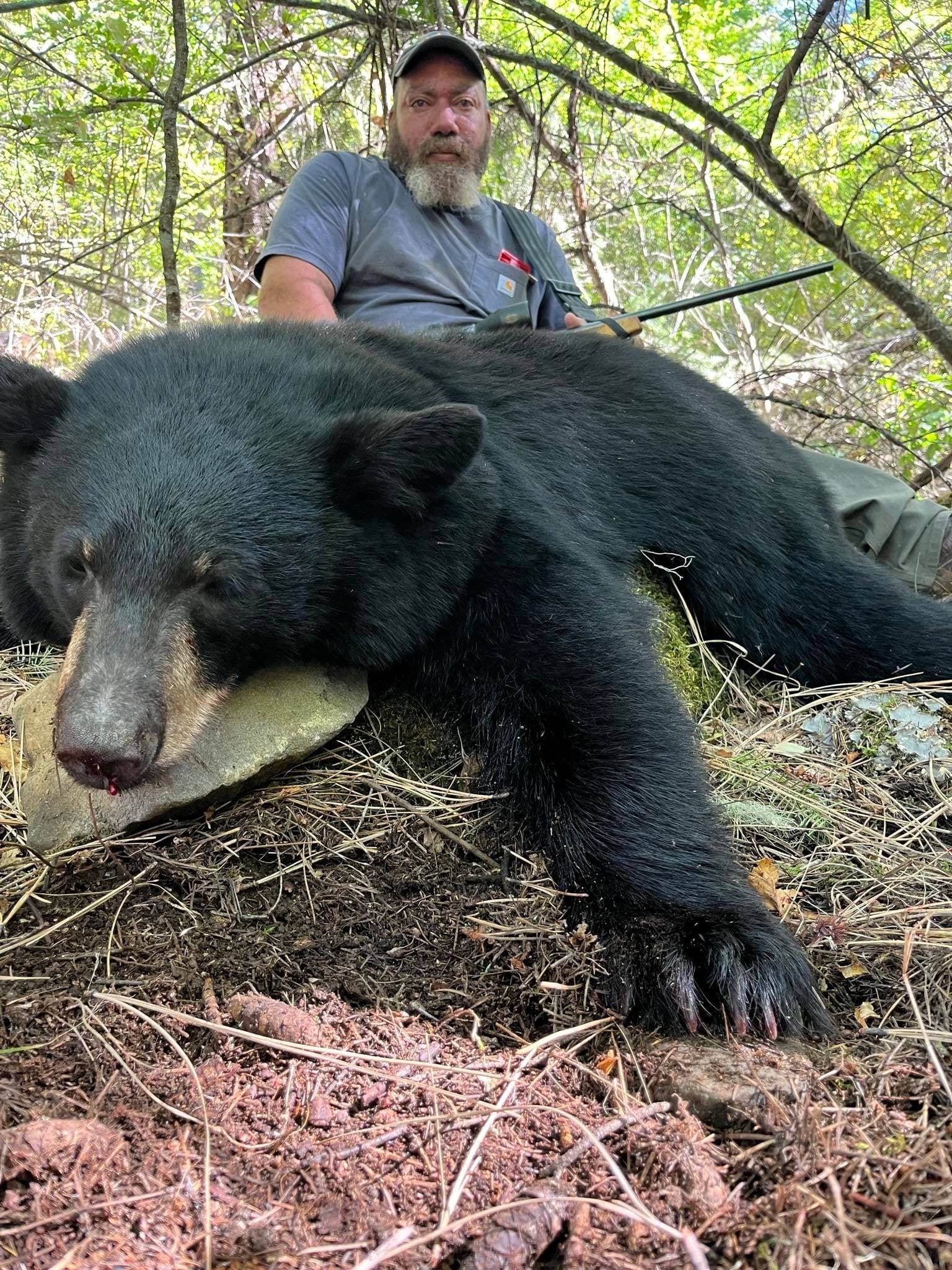 A hunter poses with a harvested black bear in a forest.