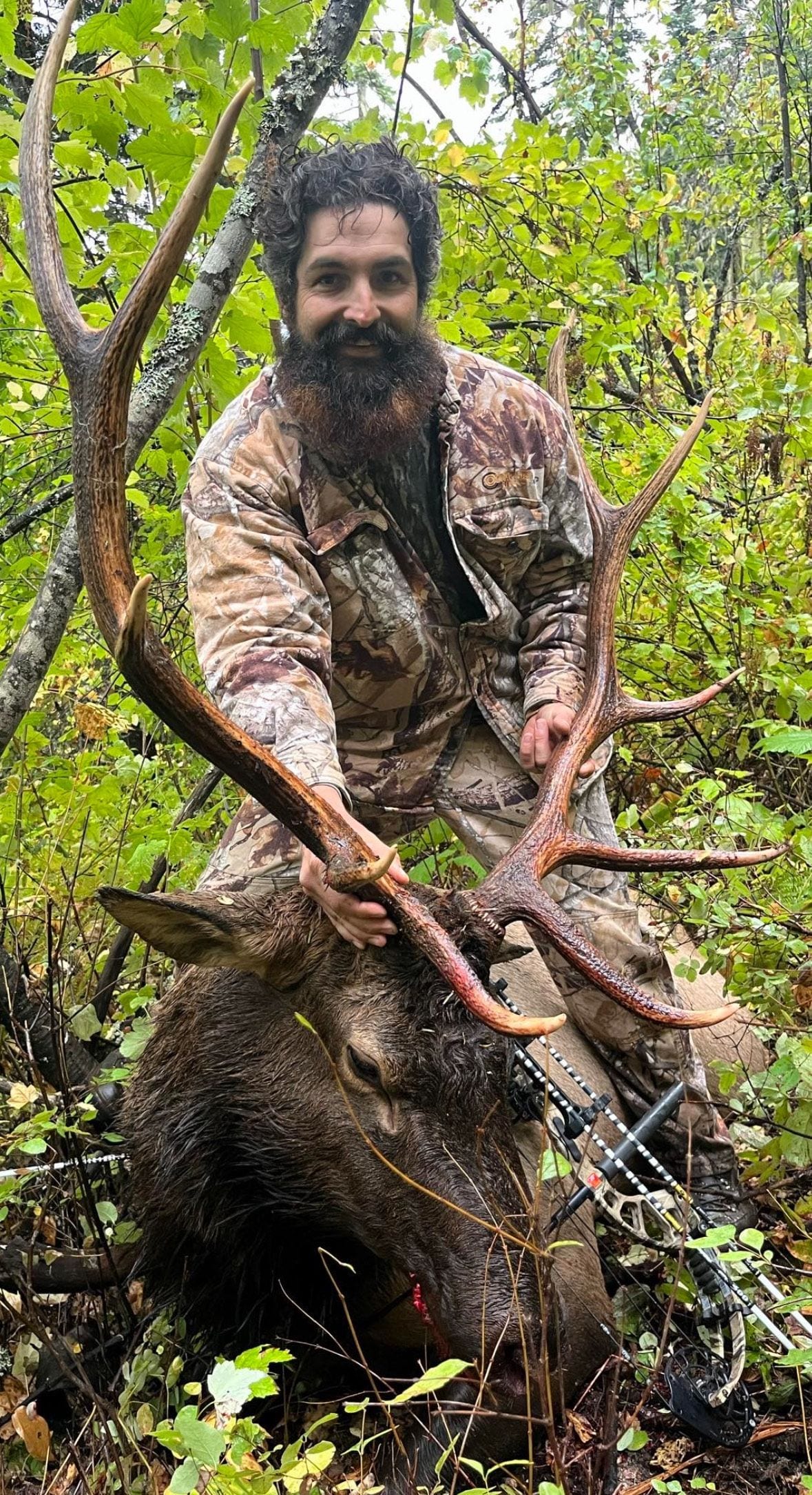 A hunter with a beard and camouflage clothing poses with a harvested elk in a forest.