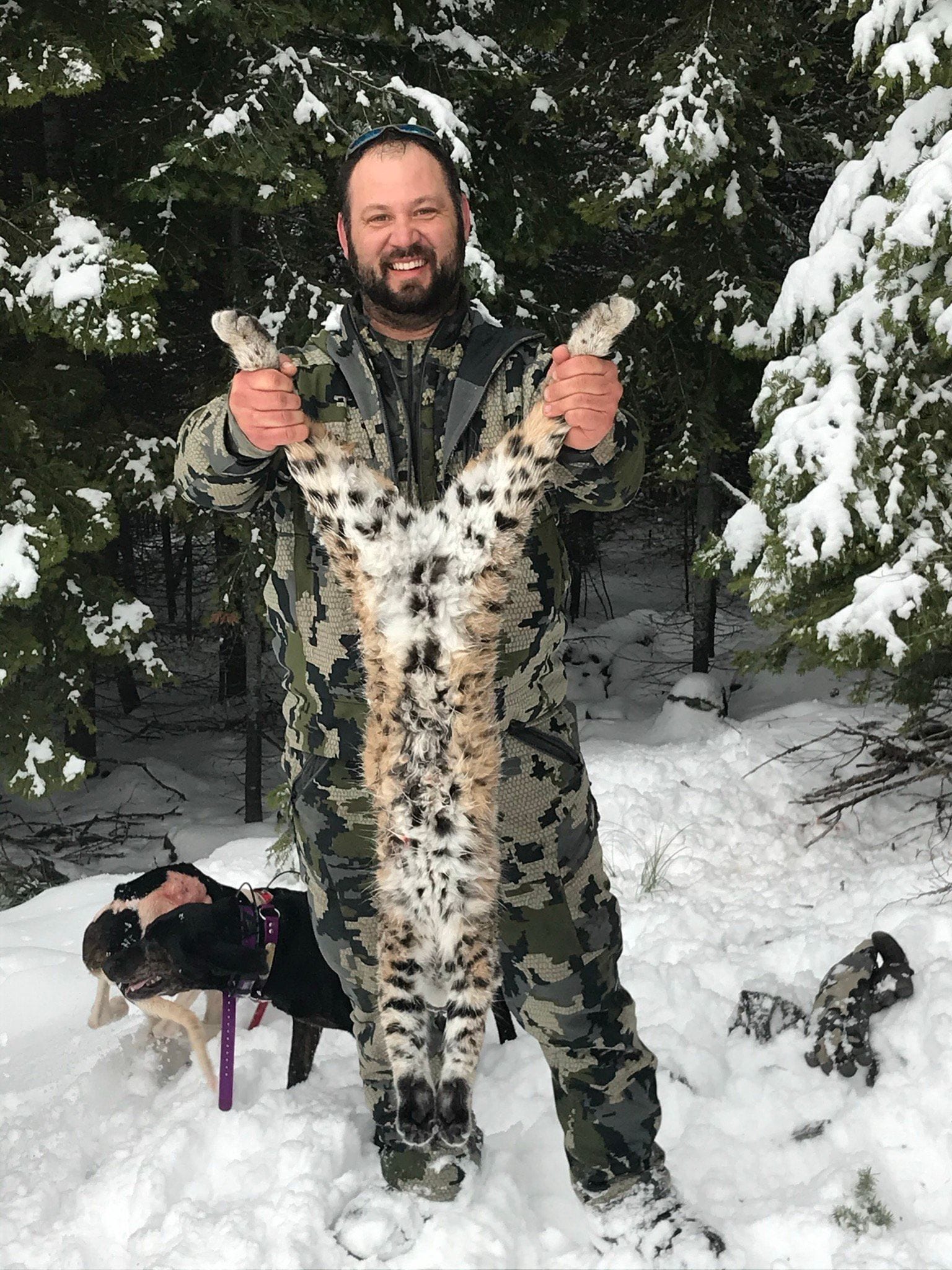 A hunter in camouflage holds up a harvested bobcat in a snowy forest, with a dog visible in the foreground.
