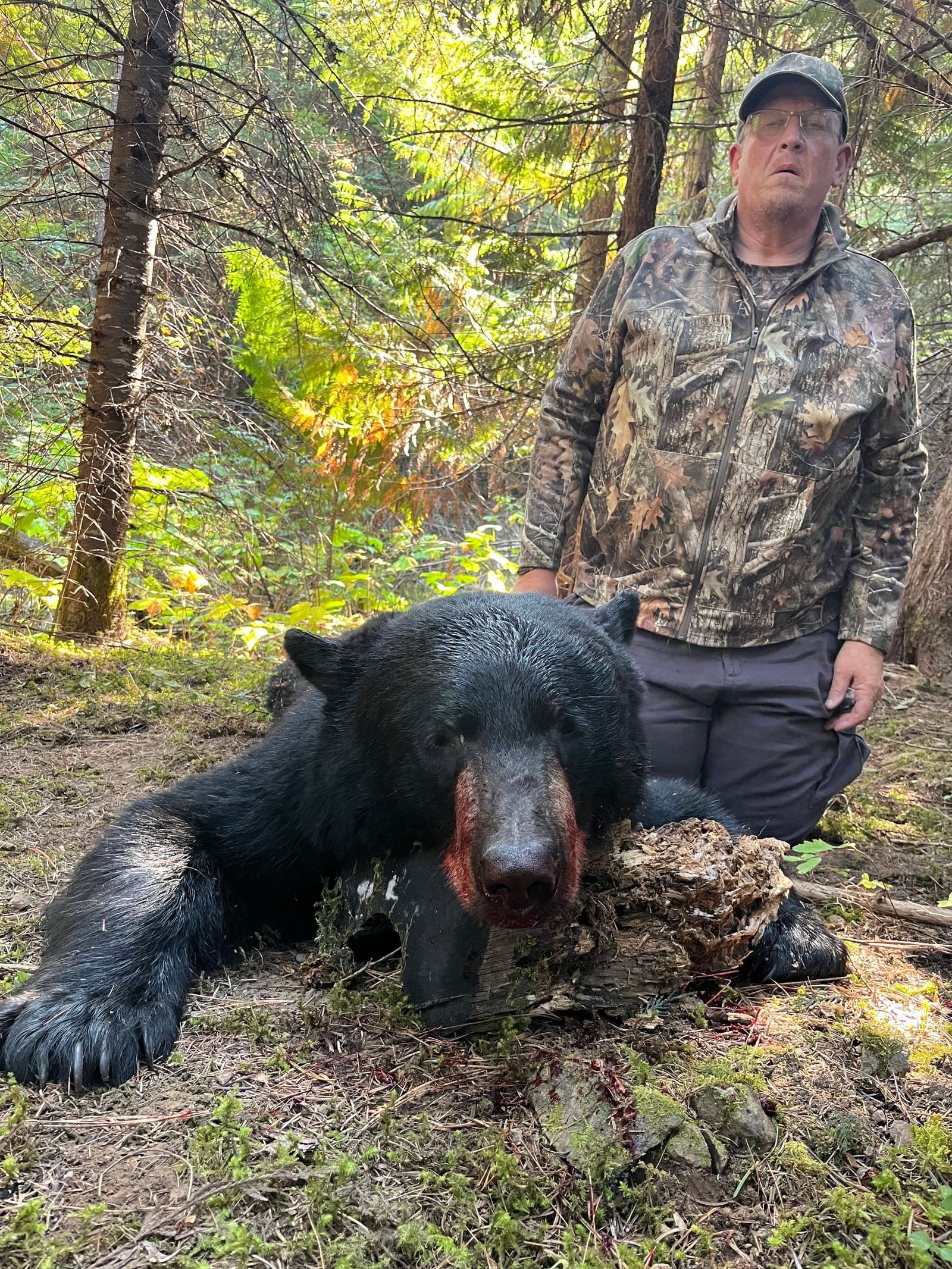 A hunter in camouflage kneels next to a harvested black bear in a forest.