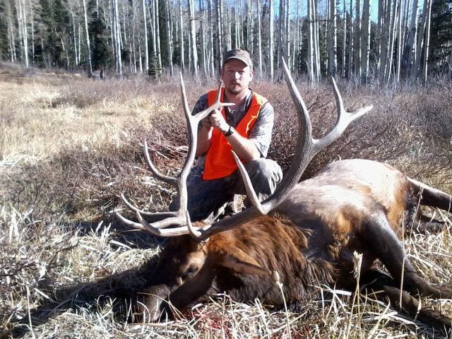 A hunter kneels next to a harvested elk in a field with trees in the background.