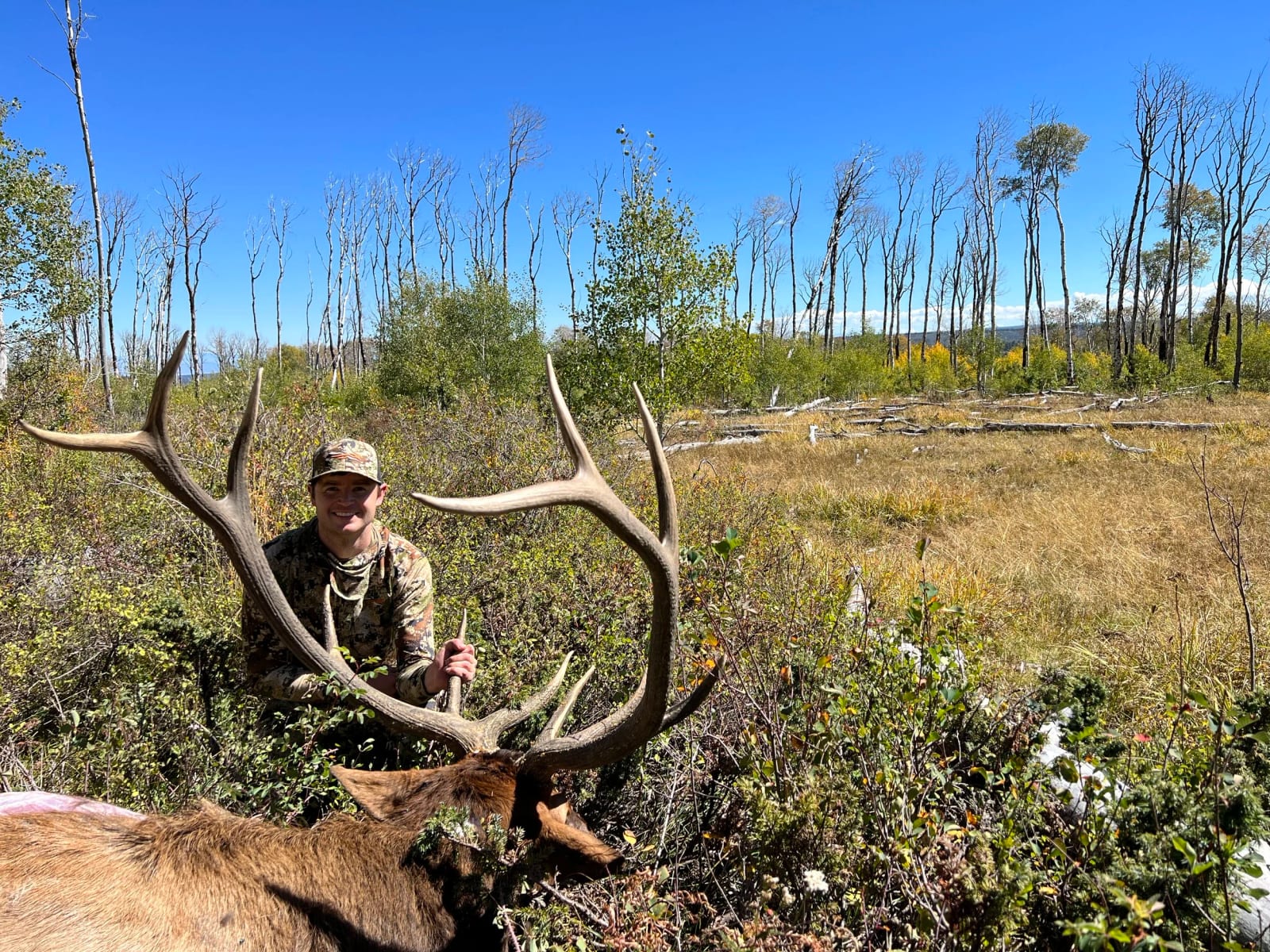 A man in camouflage clothing kneels in a field holding a large elk with sizable antlers. The background features a bright blue sky, sparse trees, and dry grass.