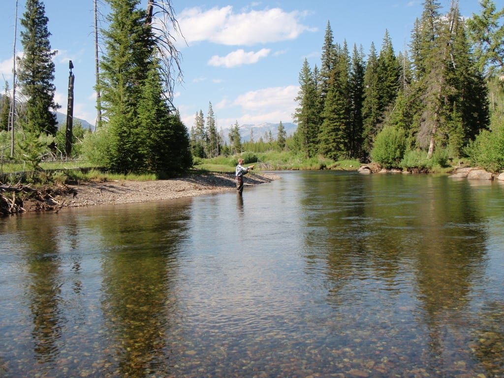 A person wades in a clear river, fly fishing amidst a forested landscape under a blue sky.