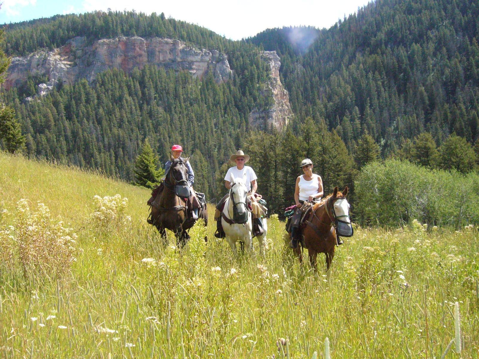 Three people ride horses through a grassy field with a forested mountain and rock formations in the background.