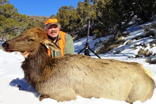 Idaho Cow Elk Hunting