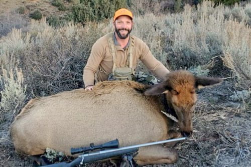 Idaho Cow Elk Guides