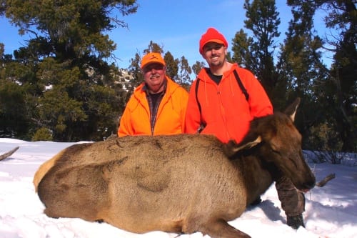 Cow Elk Guides