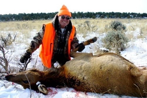 Cow Elk Hunts