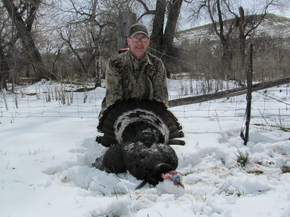 Turkey Hunts in Wyoming