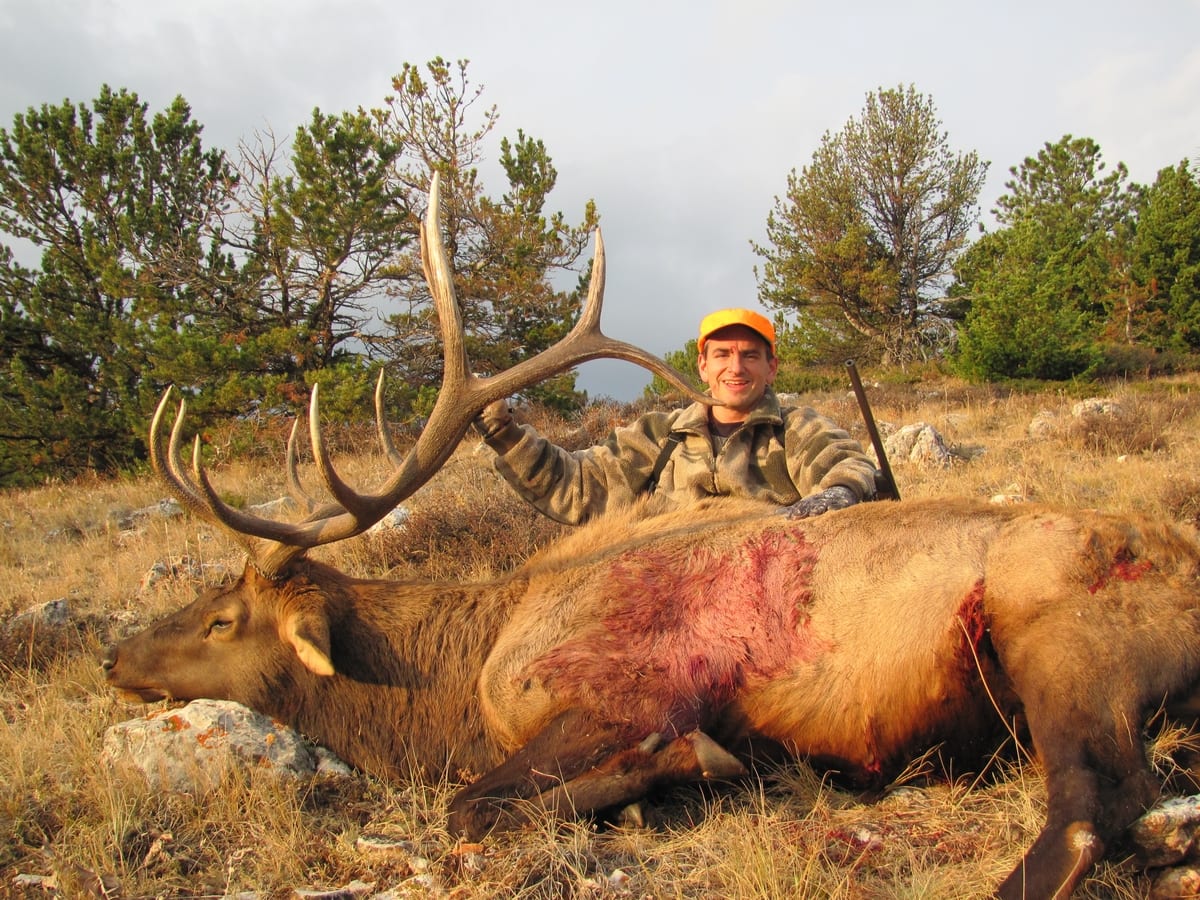 Trophy Elk Hunts