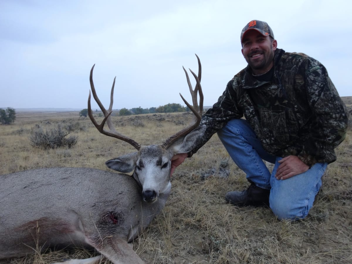 Mule Deer Hunt Wyoming