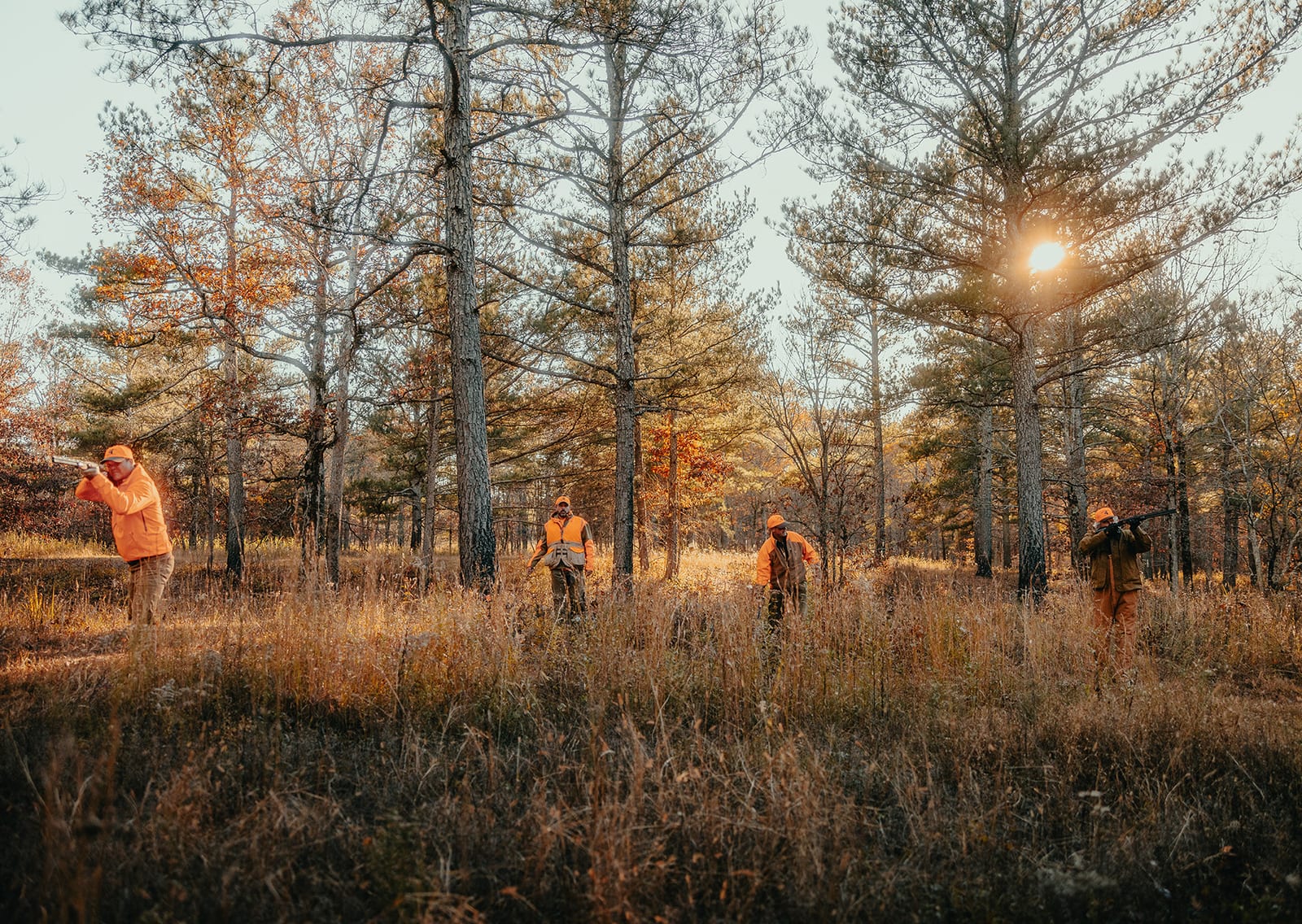 Bird hunters in field wearing blaze orange and holding shotguns.