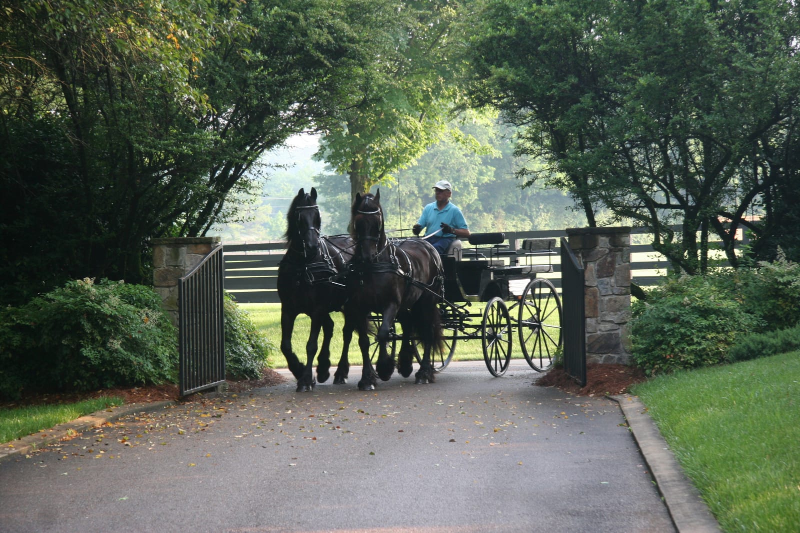 horse-drawn wagon