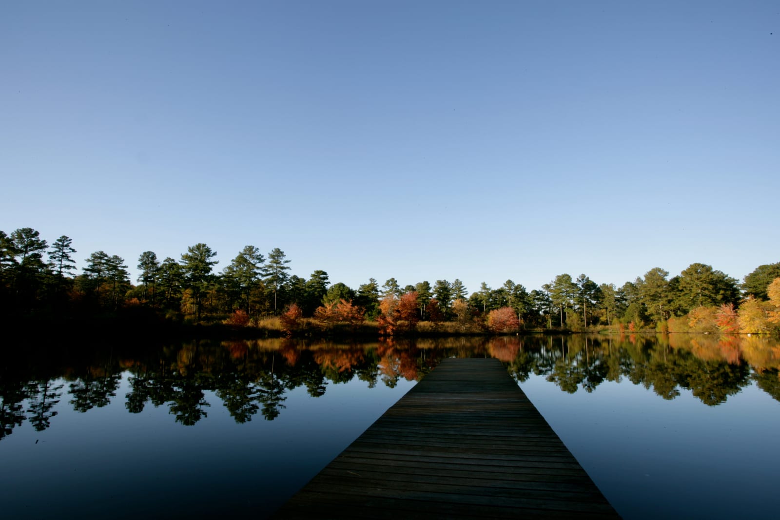 dock and lake straight view