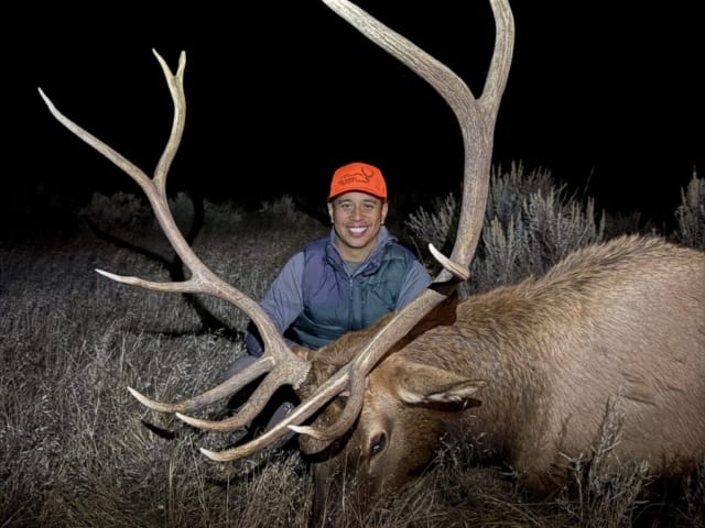 Elk Gallery