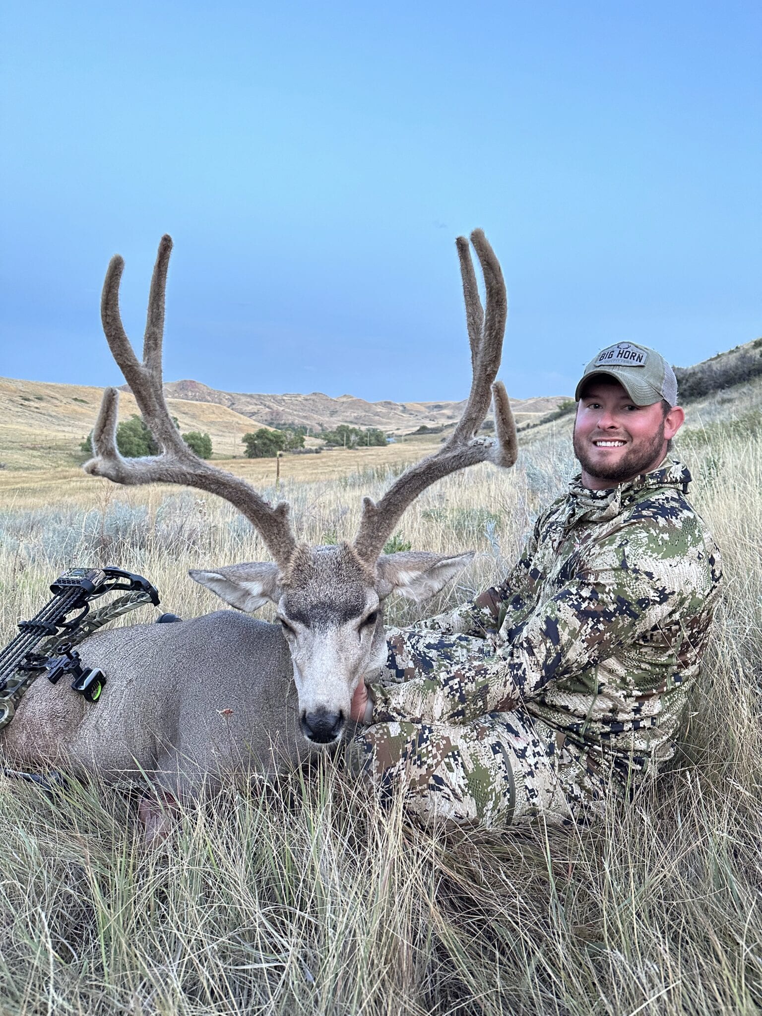 Elk Gallery