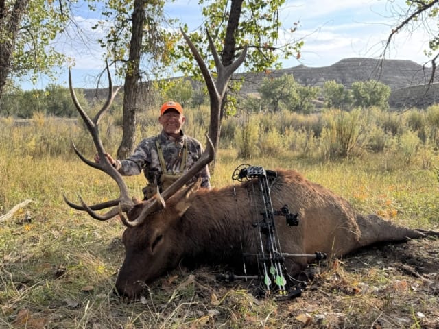 Elk Gallery