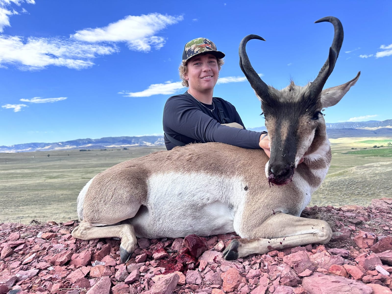 Elk Gallery