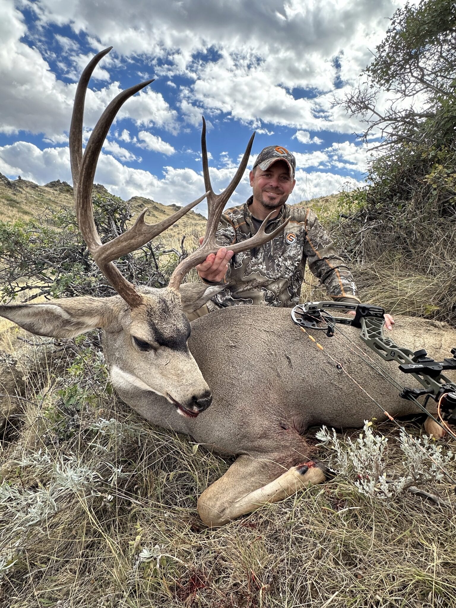 Elk Gallery