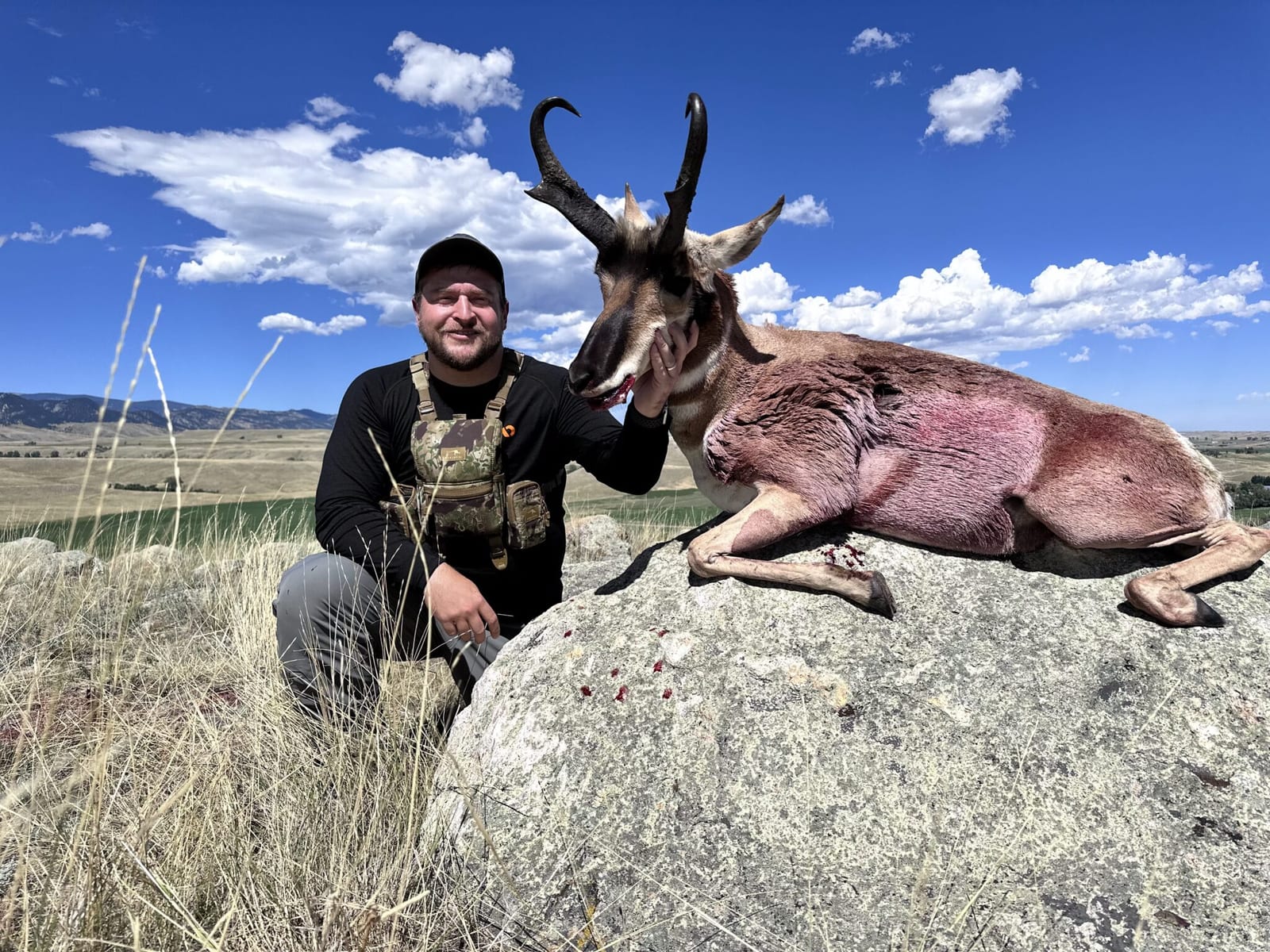 Elk Gallery