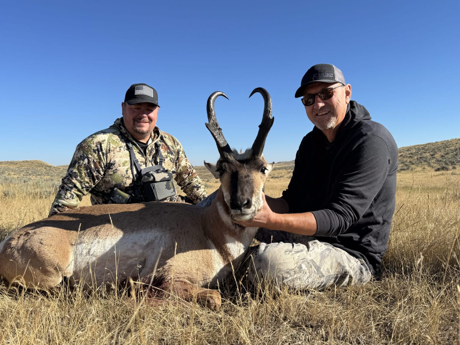 Elk Gallery