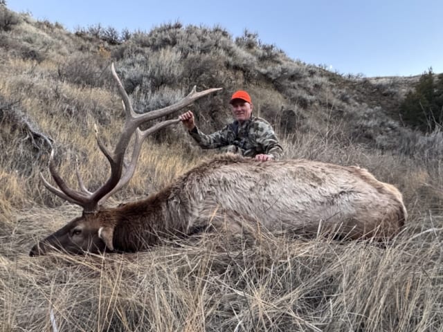 Elk Gallery