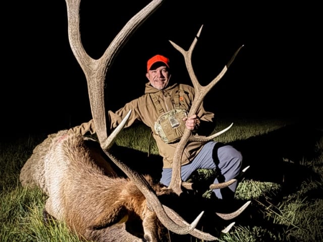 Elk Gallery