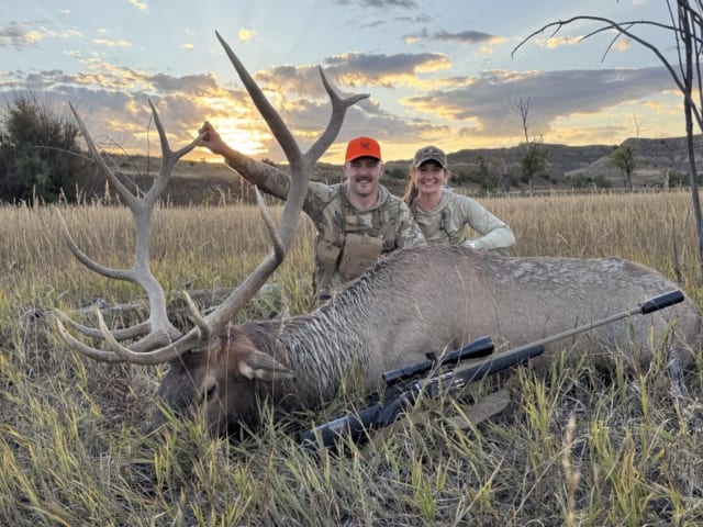 Elk Gallery