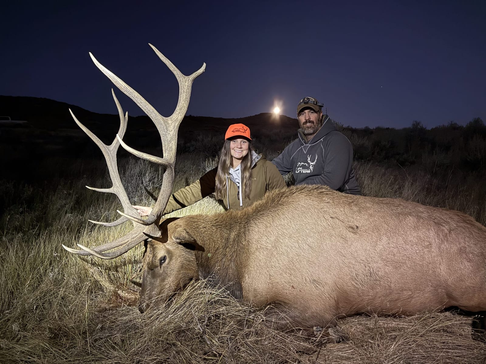Elk Gallery