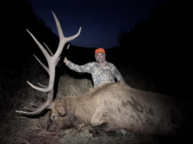 Elk Gallery