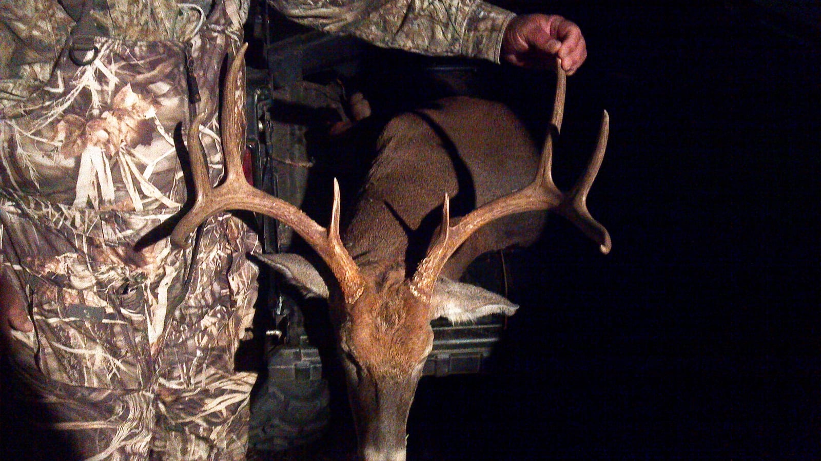 A hunter in camouflage holds the antlers of a harvested whitetail deer.