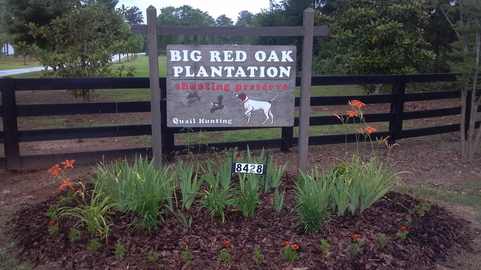 A sign for Big Red Oak Plantation Shooting Preserve, indicating quail hunting, stands by a fence with landscaping.
