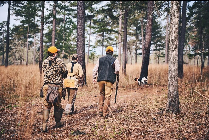 Screenshot 2022-11-04 at 09-40-24 Ball and Buck (_ballandbuck) • Instagram photos and vide