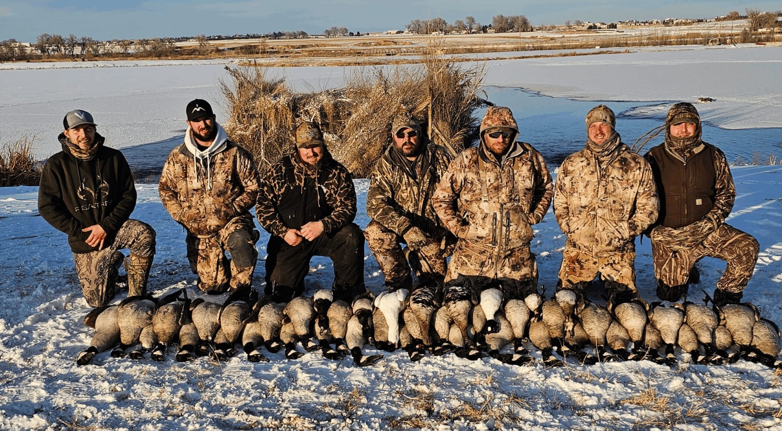 Goose hunting colorado guides