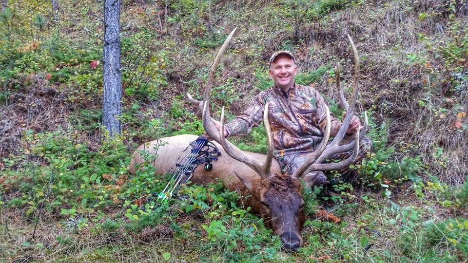 A hunter in camouflage poses with a harvested elk in a wooded area.