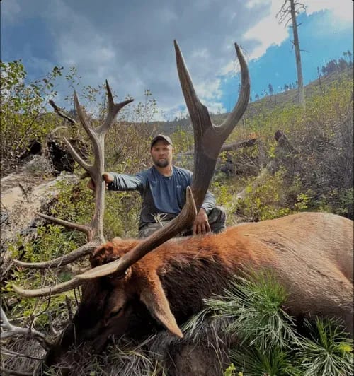 GUIDED IDAHO ELK HUNTS