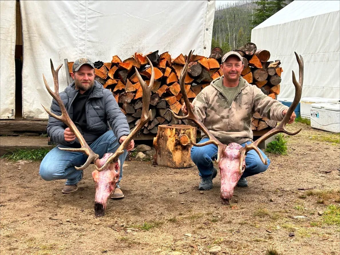 Two men are kneeling down with their deer heads in front of a pile of logs.