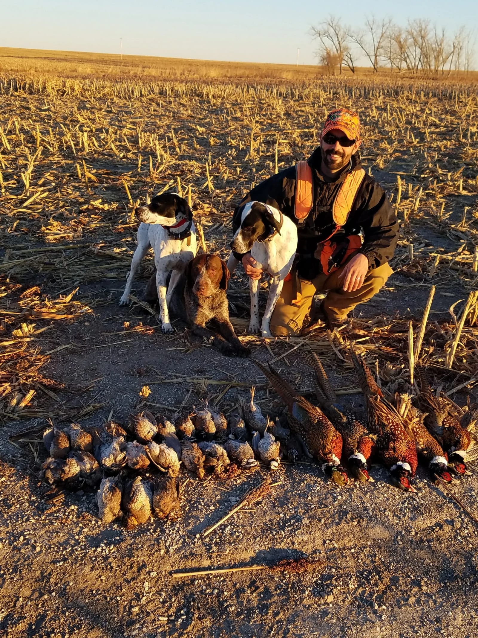 A hunter poses with three hunting dogs and a harvest of ring-necked pheasants and chukar partridges in a field.