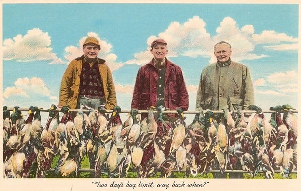 Three men pose with a large harvest of ducks hanging on a rail.