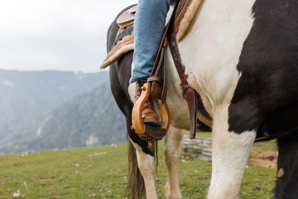 Person's boot in stirrup on a brown-and-white horse with mountain backdrop