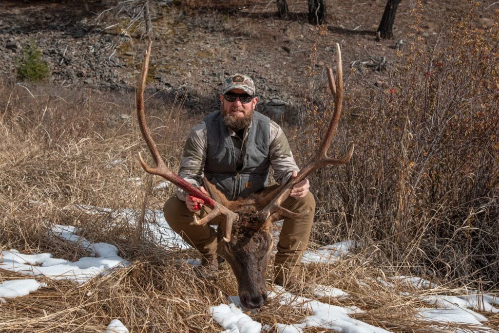 A hunter kneels with a harvested elk in a field with some snow.