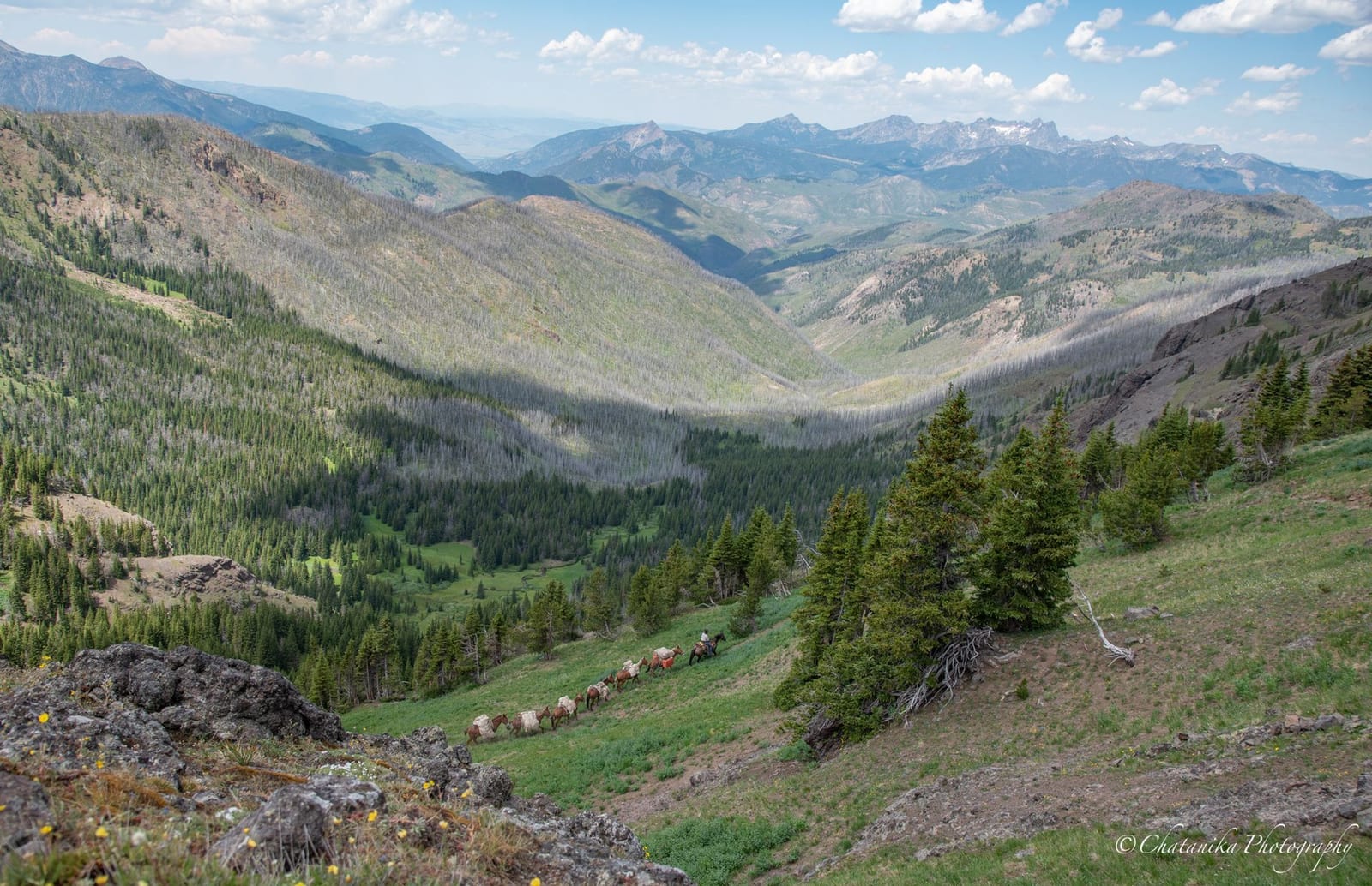 A line of horses travels along a mountain trail with a vast valley and distant peaks under a cloudy sky.
