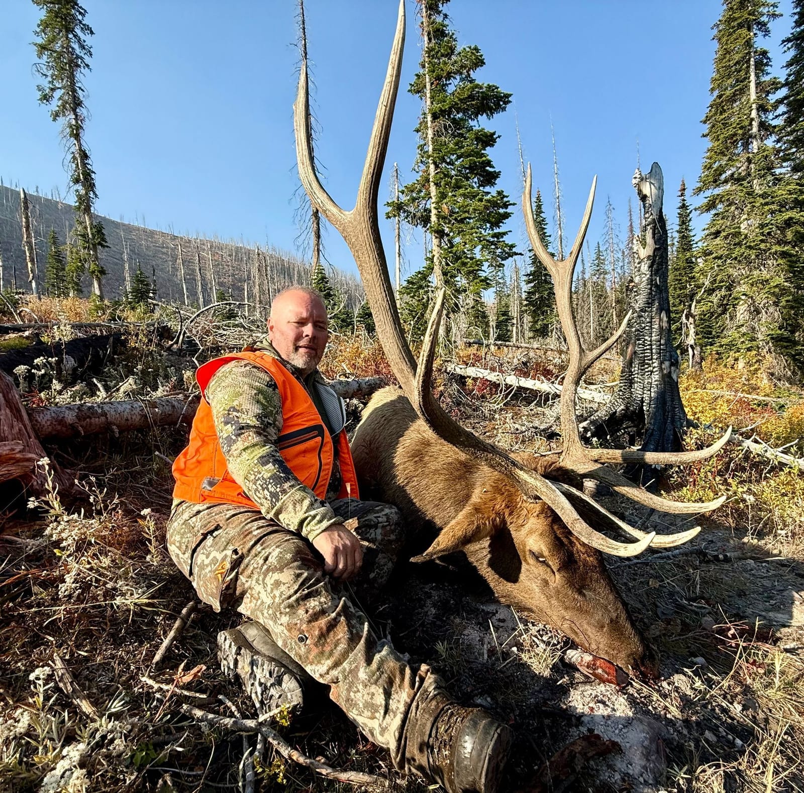 Elk