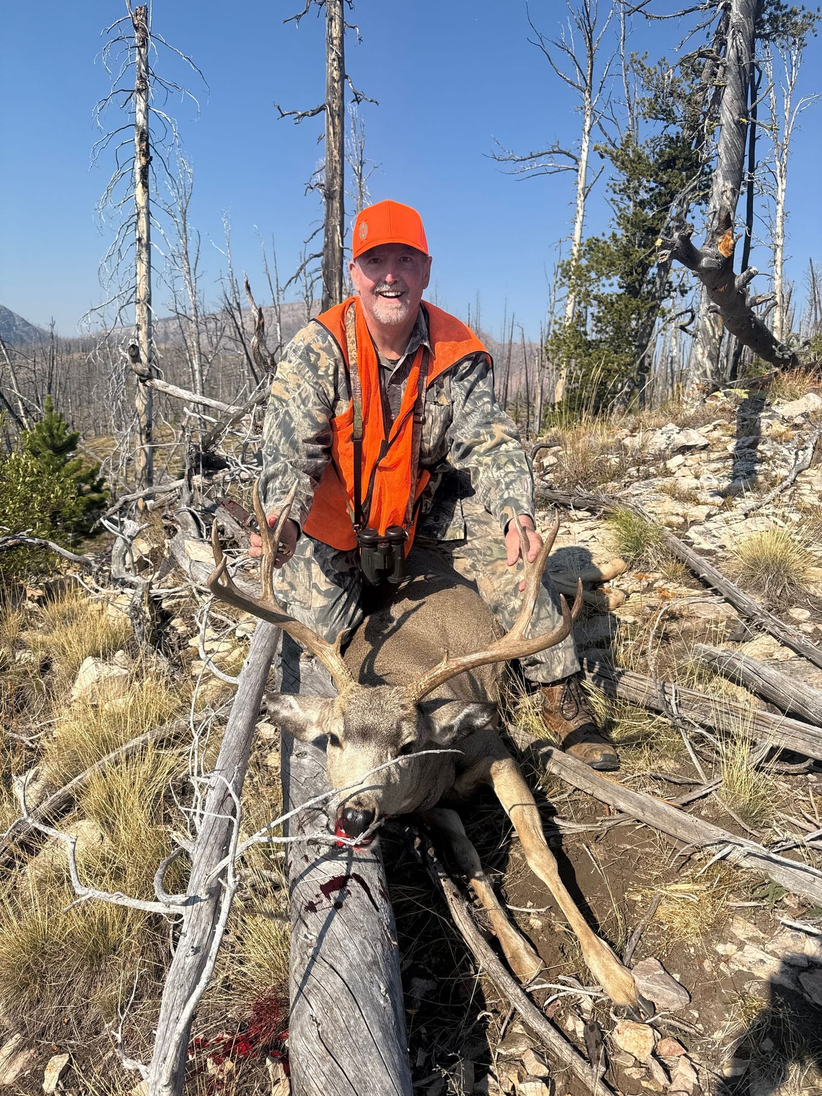 Elk