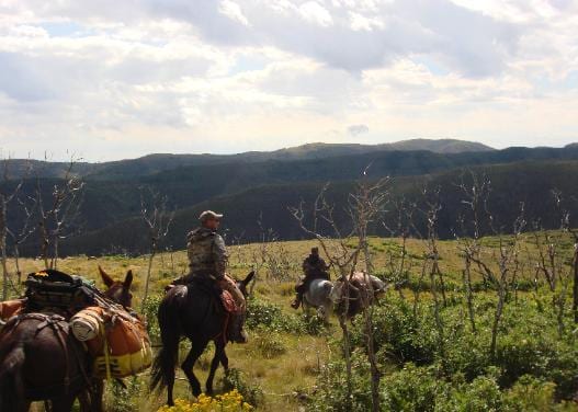 Hunters ride horses through a brushy, mountainous landscape under a cloudy sky.