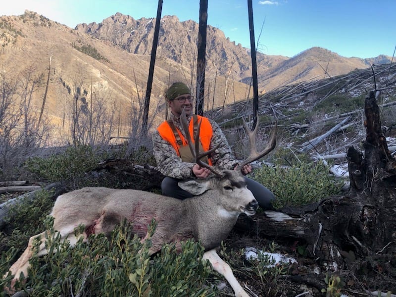 A hunter poses with a harvested mule deer in a mountainous, forested area.