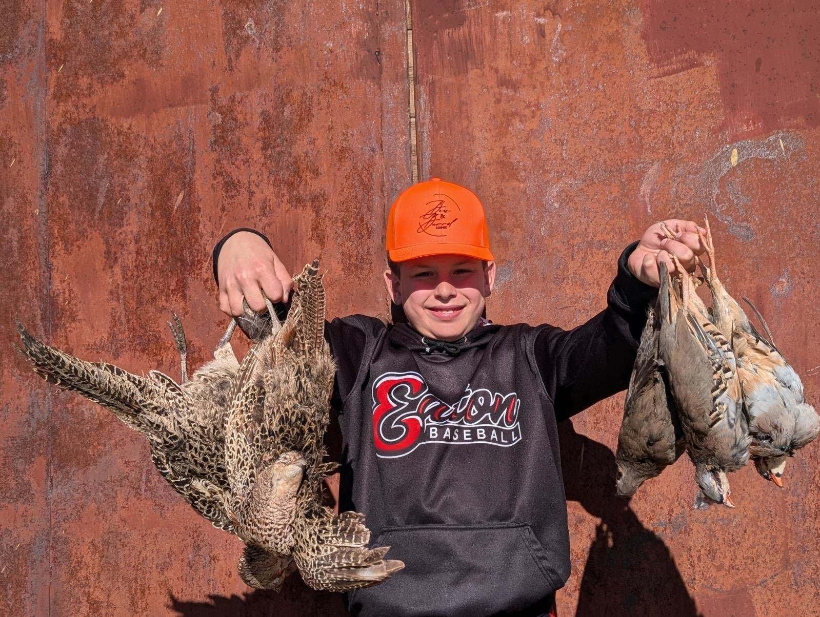 Upland hunting scene in Colorado 10