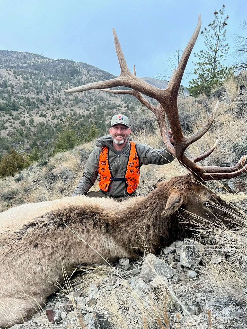 A man in hunting gear poses with a harvested elk on a hillside.